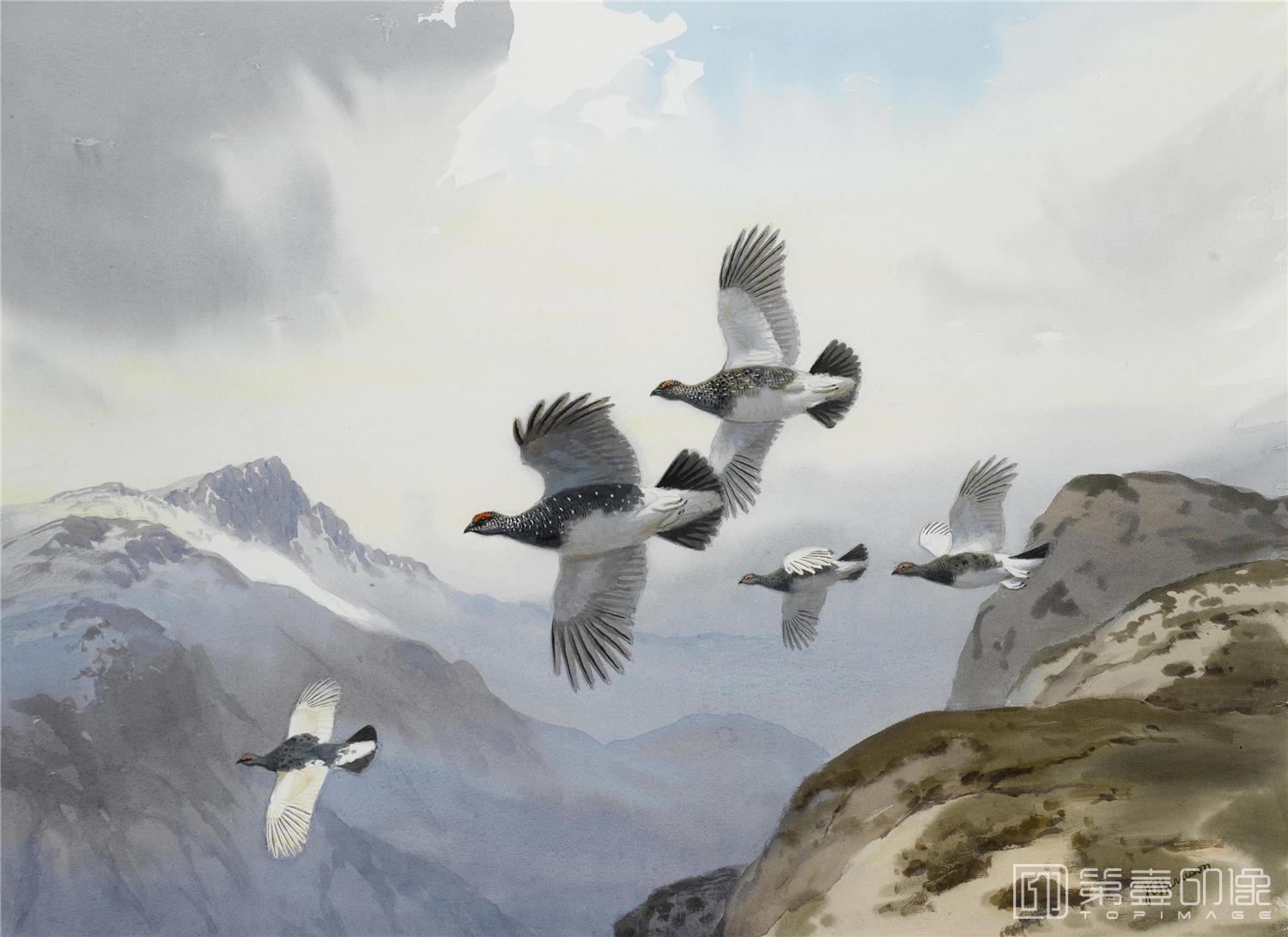油画-约翰.赛里尔·哈里森 John Harrison作品集-097